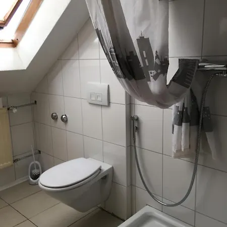 Guest house Alis 3*