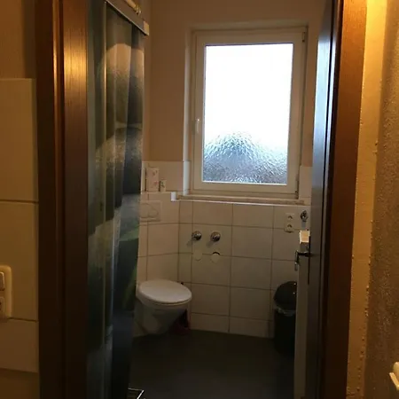 Guest house Alis 3*